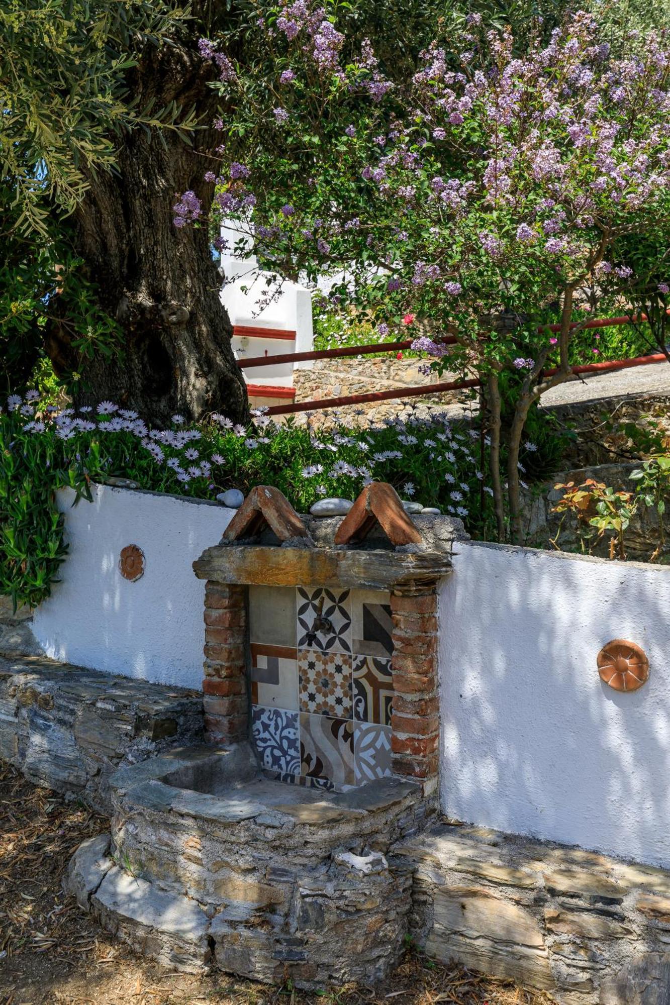 Villa Agia Marina Skopelos Exterior foto